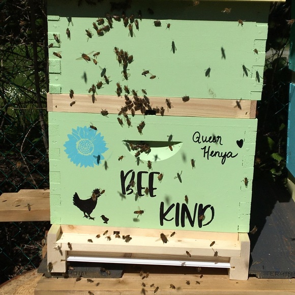 Meet your Posher, Janet - Picture 1 of 1